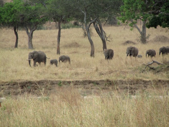Arriving at the river