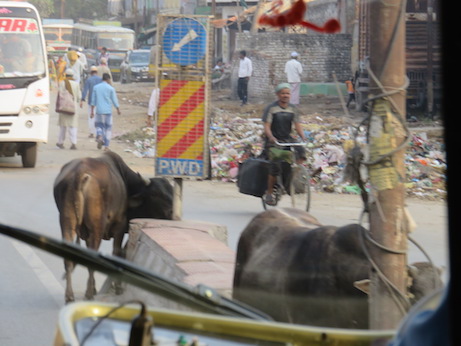 Street scene, Varanasi
