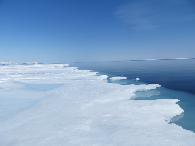 At the edge of the floe